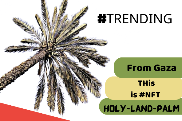 holylandpalm's tweet photo. After the world forgot us
To all #geeks #crazy #nft #crypto
we are From #freedome
👇👇👇👇
https://t.co/h45m4rXmoF https://t.co/zrKbdGn6bR