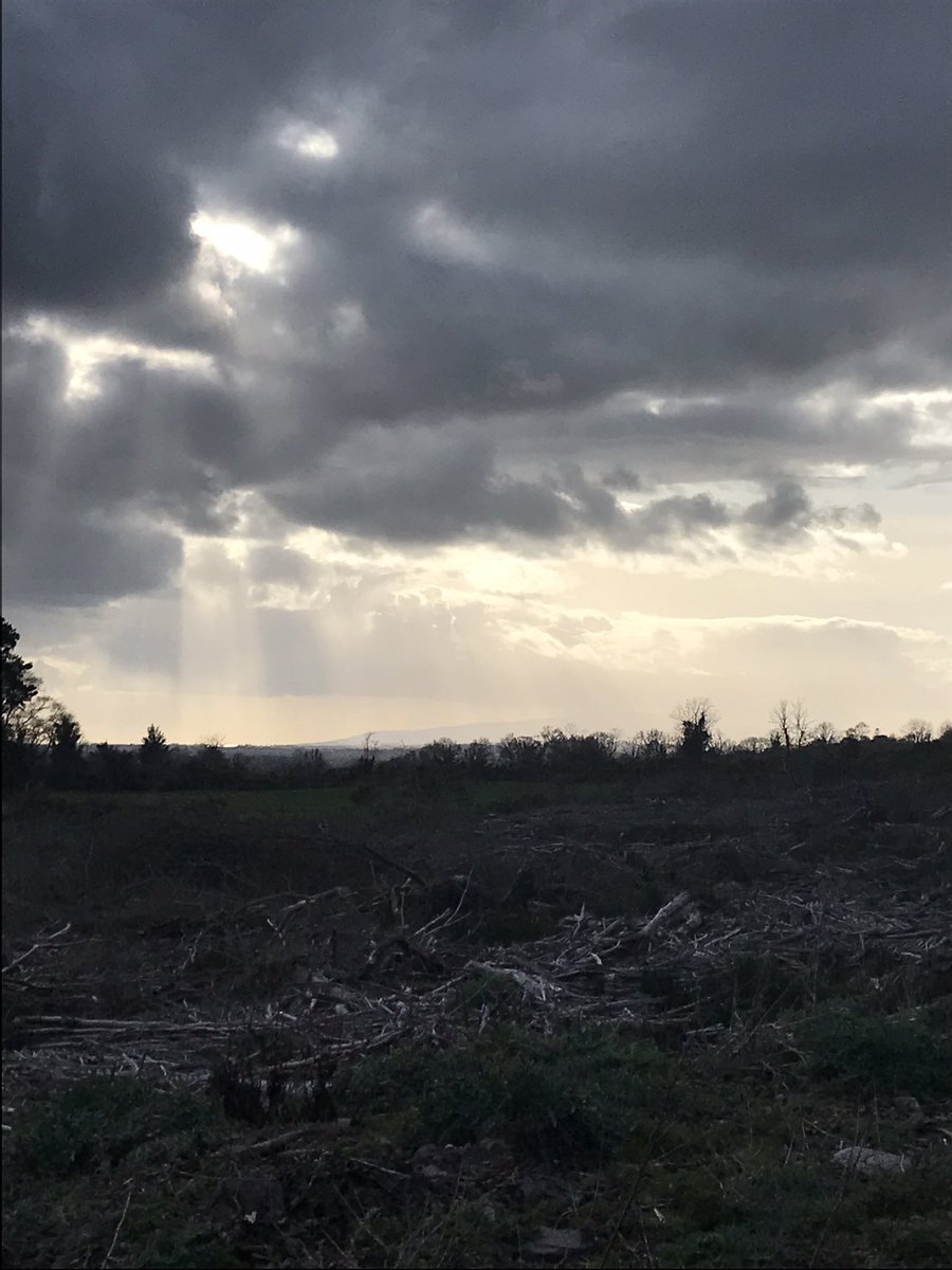 Tina Clarke tweet media