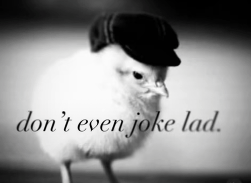 Tiso (read pin) (Gone btw) tweet media