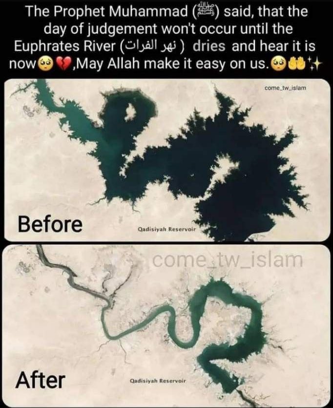 Halal Nation ☪︎ tweet media