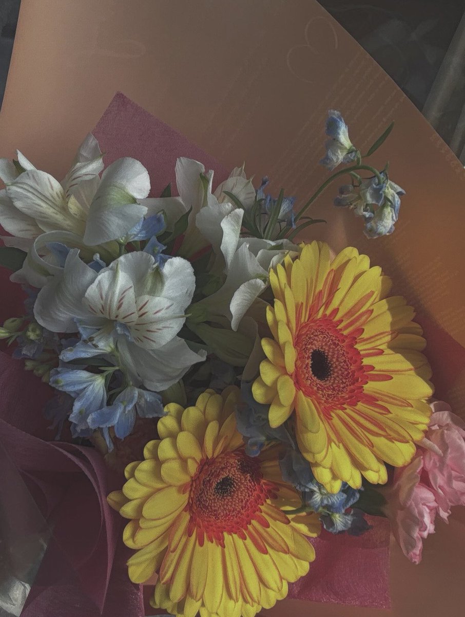 _vivi_0's tweet photo. 𝙲𝚘𝚗𝚐𝚛𝚊𝚝𝚞𝚕𝚊𝚝𝚒𝚘𝚗𝚜. https://t.co/vcAALNL9co