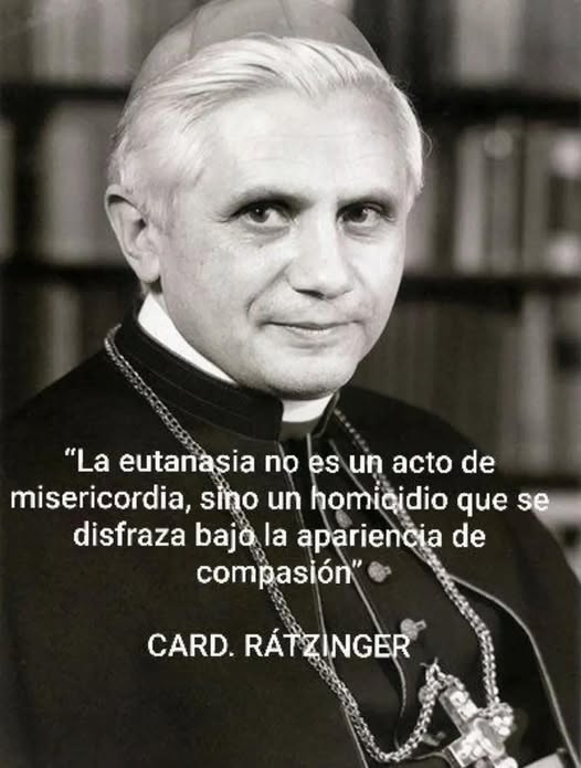 PEPE, en Español . INVICTUS MANEO.🇪🇸 🇮🇱 tweet media