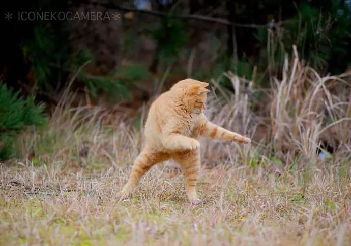 Brandi Benjamin tweet media