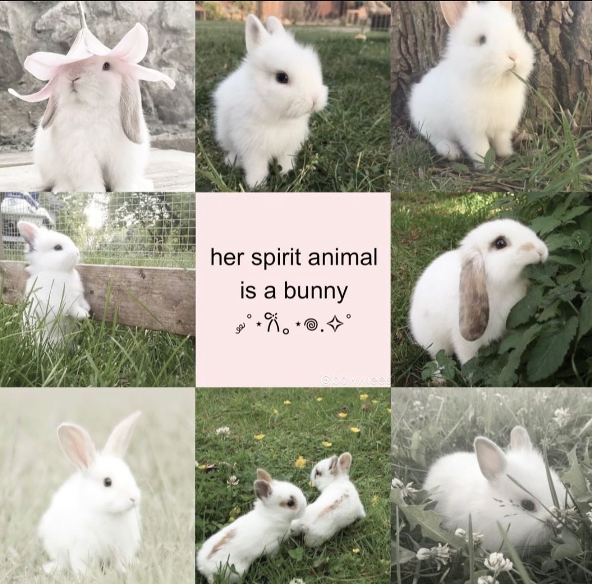 sofia ❤︎︎ tweet media