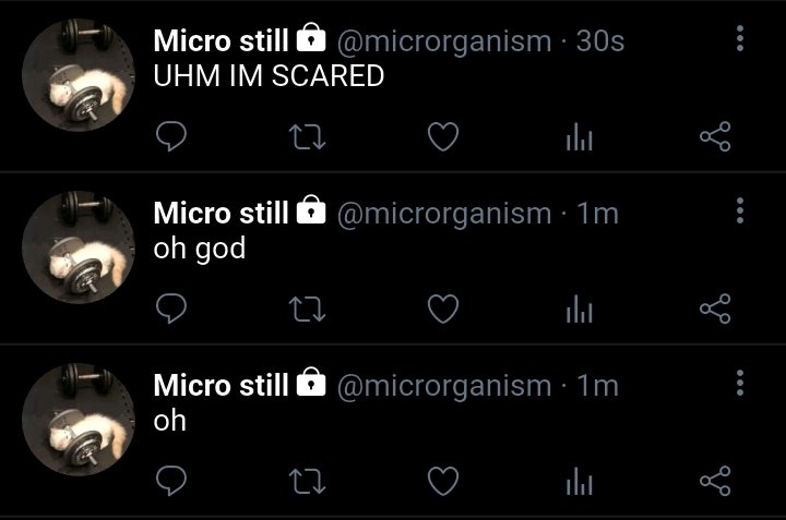 #🪡 MUSE·°• tweet media