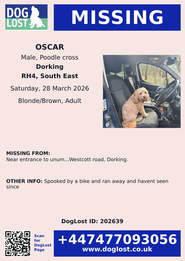 chris towers tweet media