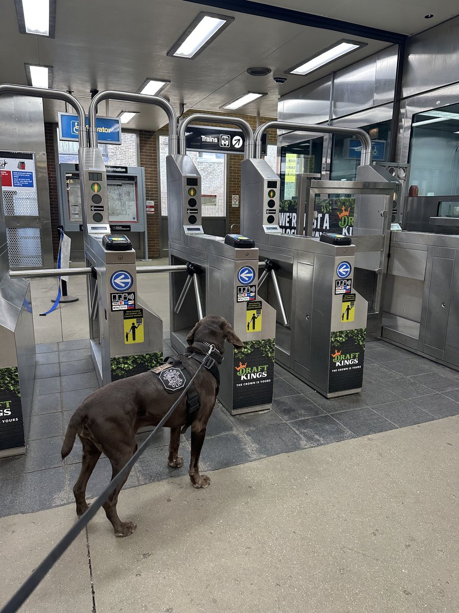 CPD_Transit tweet media