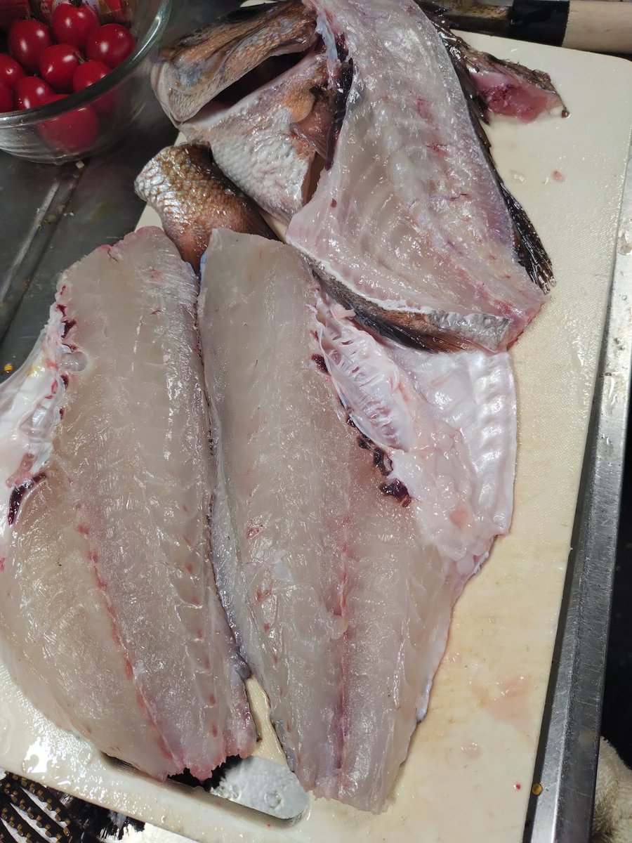 陸戦型バルヴェニー tweet media