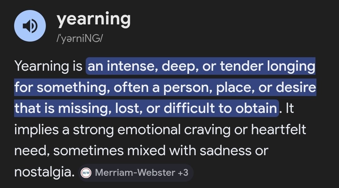 Nina 🐝 tweet media