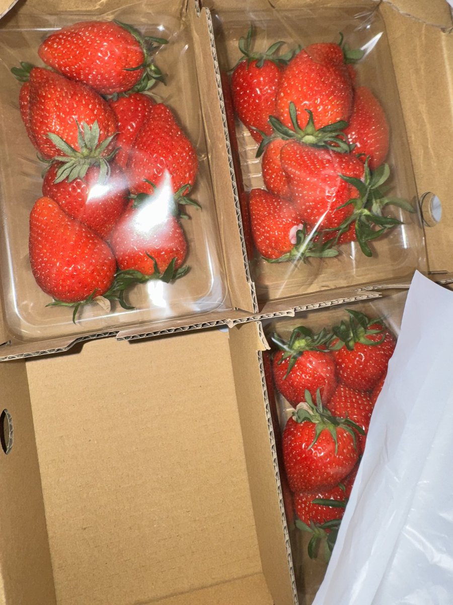 takering tweet media