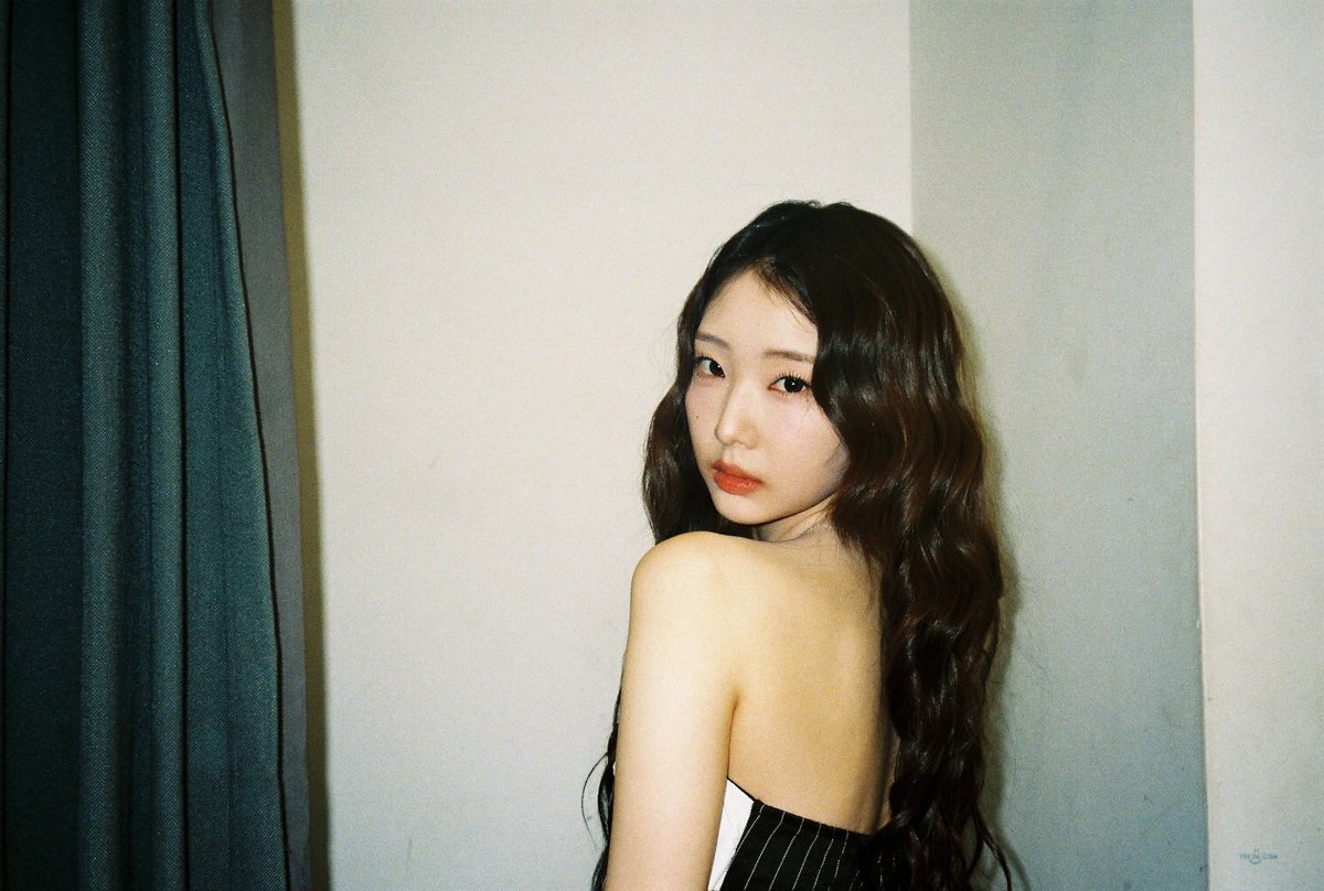 loossemble global tweet media