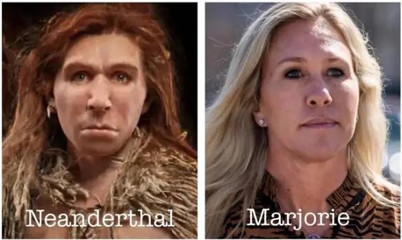 Dennis Schmitz tweet media