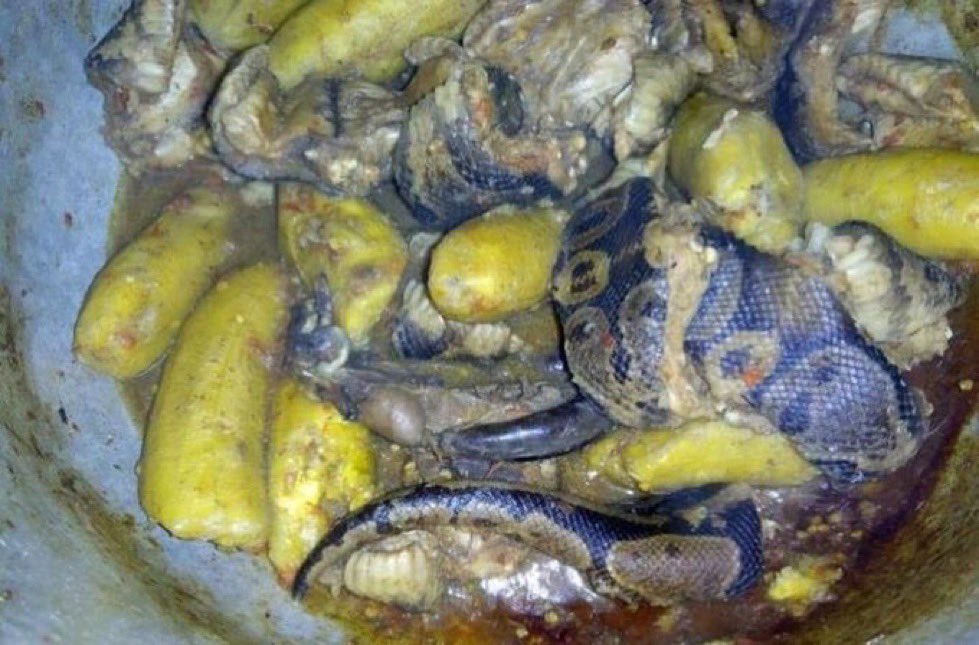 BIG DΞΞ ✧゚ tweet media