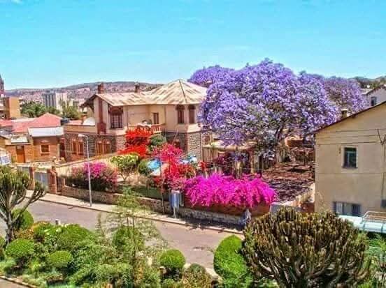 thedrosg1's tweet image. #Greetings from #Eritrea