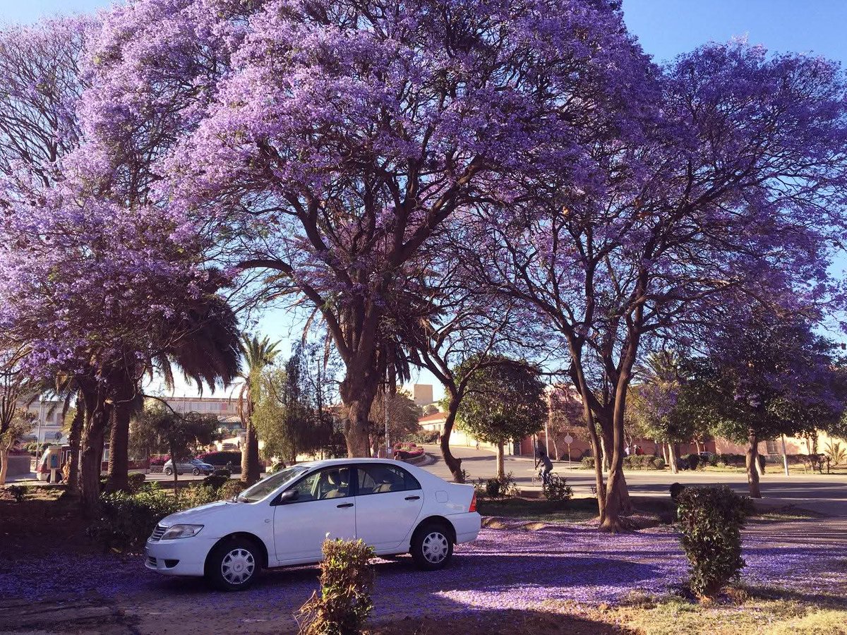 thedrosg1's tweet image. #Greetings from #Eritrea