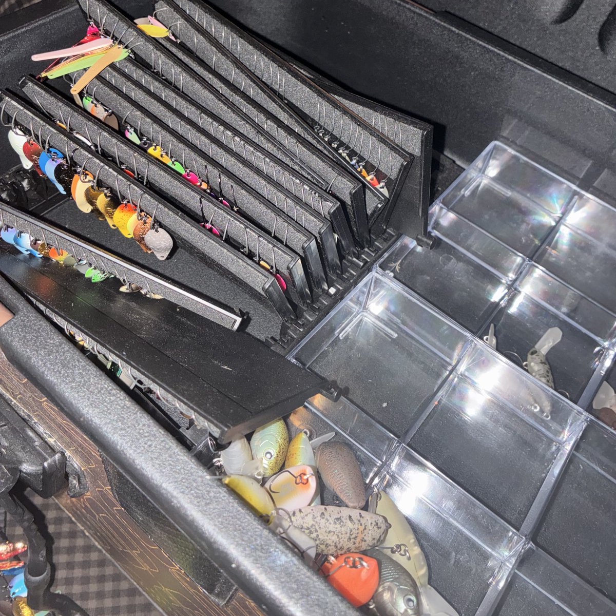 たかいち🎣 tweet media