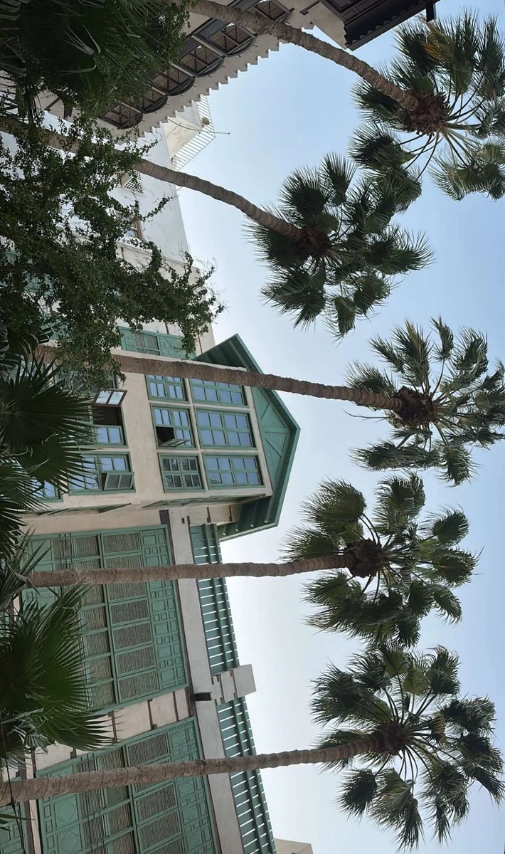 wejdan albogami tweet media