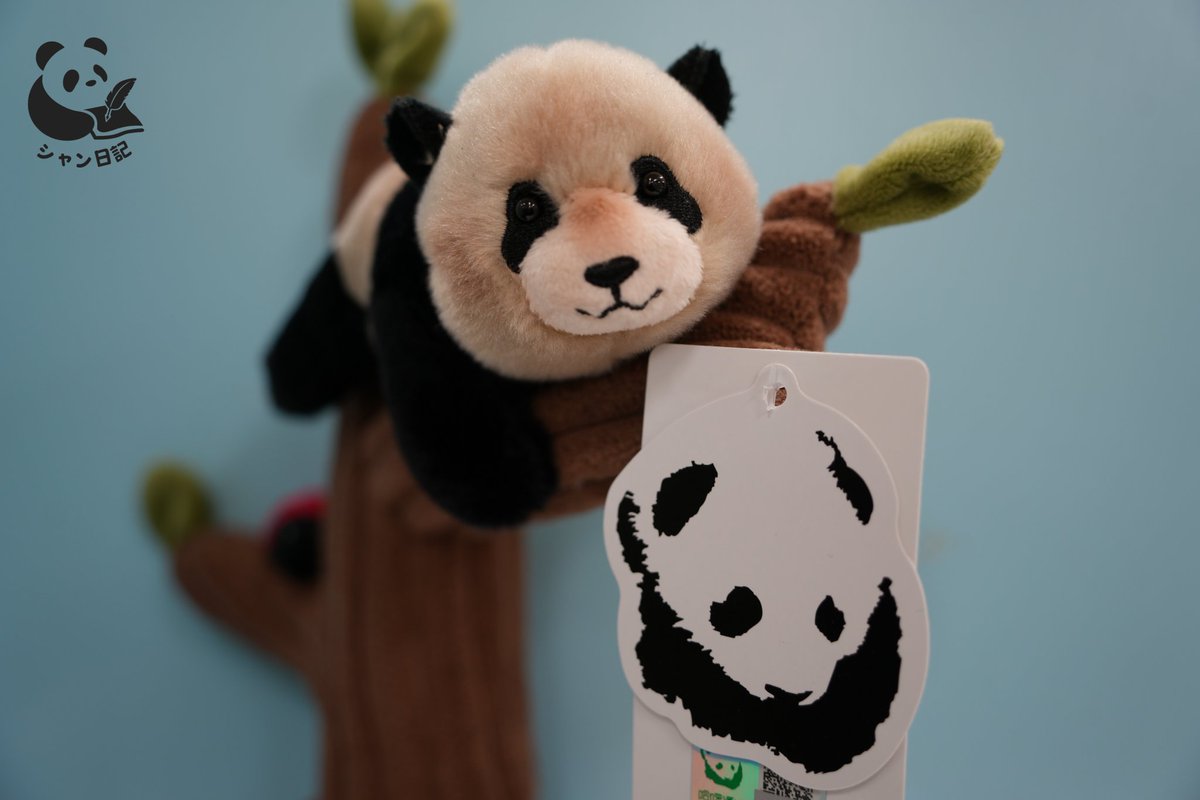 シャン日記 tweet media