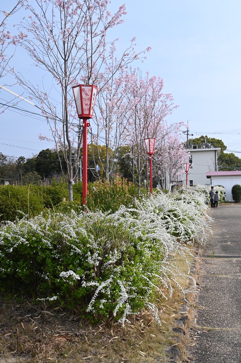 たかゆき（R/Nまめちゃん） tweet media