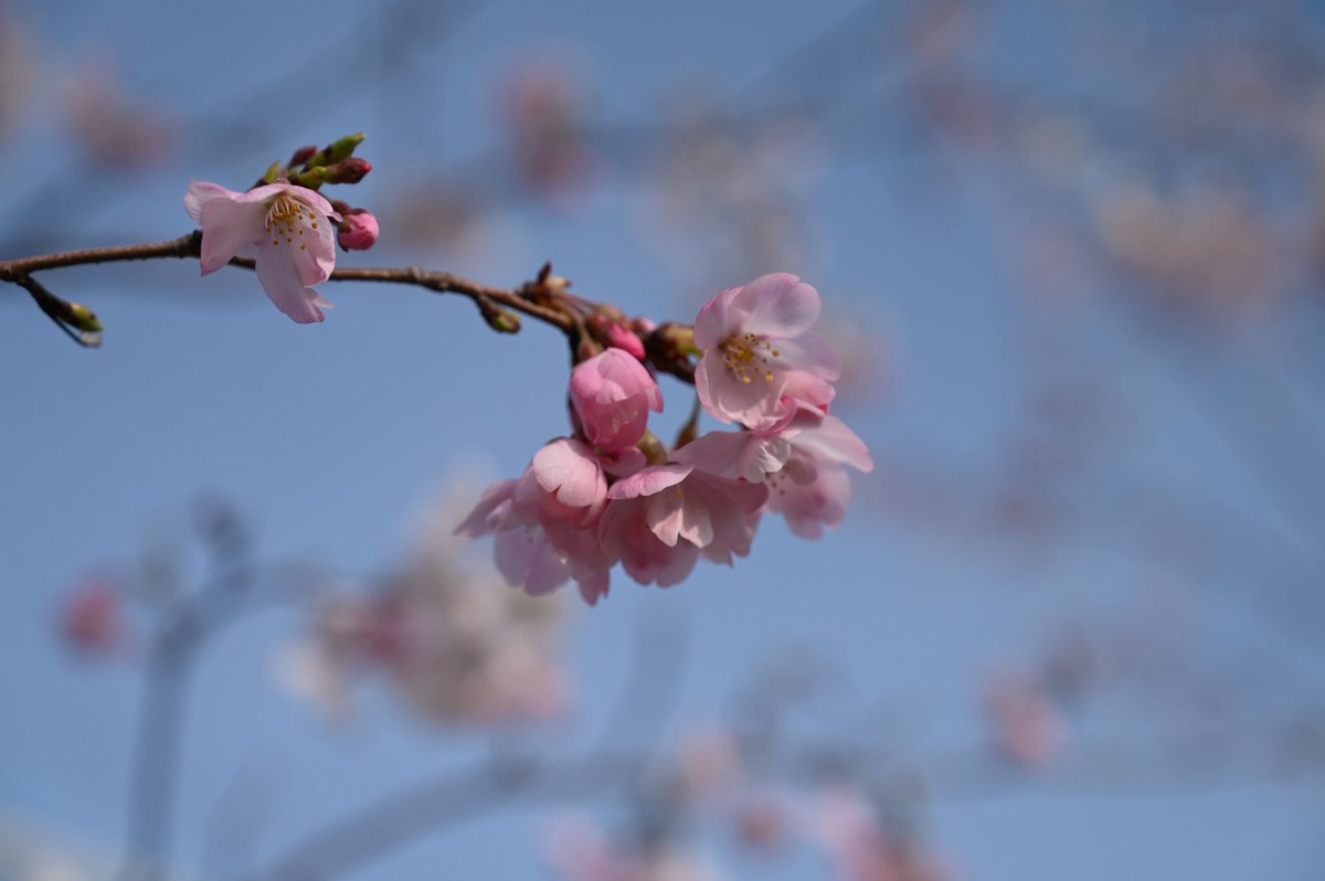 たかゆき（R/Nまめちゃん） tweet media