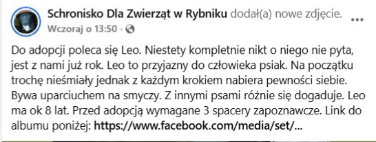 Robwalka Wolf tweet media