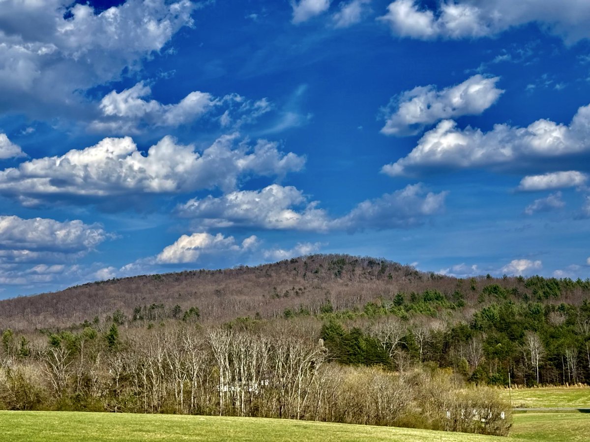 The Appalachian Podcast tweet media