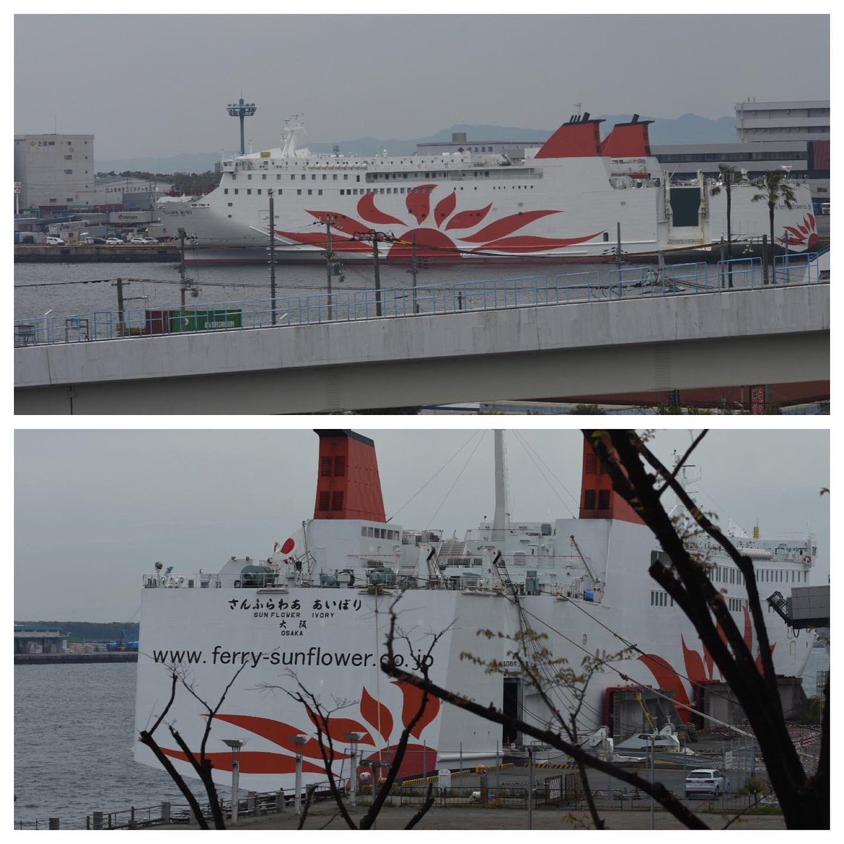 onbsoubi tweet media