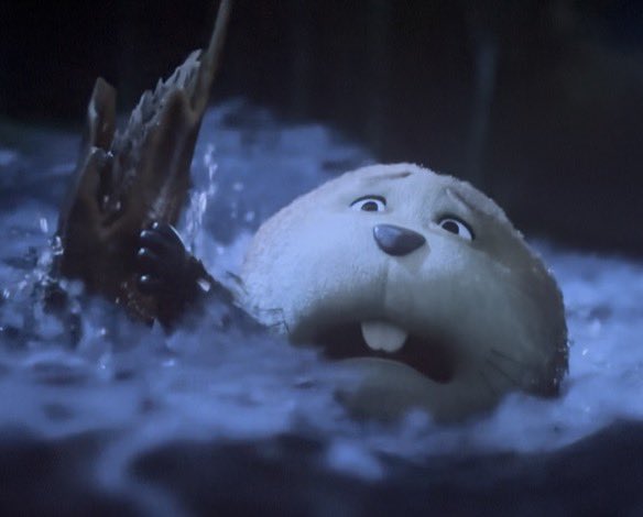 Kaids | 🐐🦫 hype tweet media