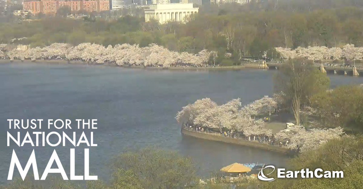 The National Mall tweet media