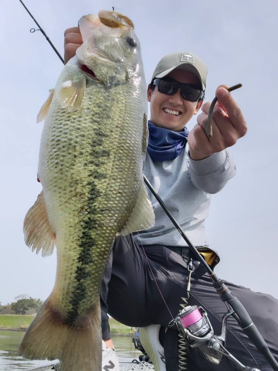 吉田富雄 tweet media