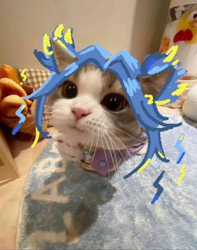 Team Liquid VALORANT tweet media