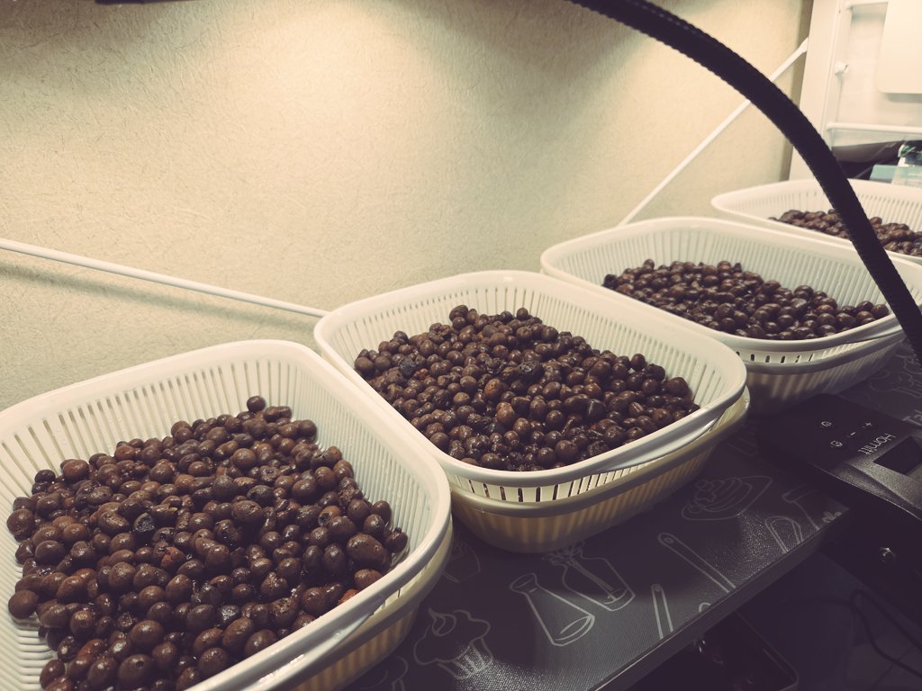 あるむろ tweet media