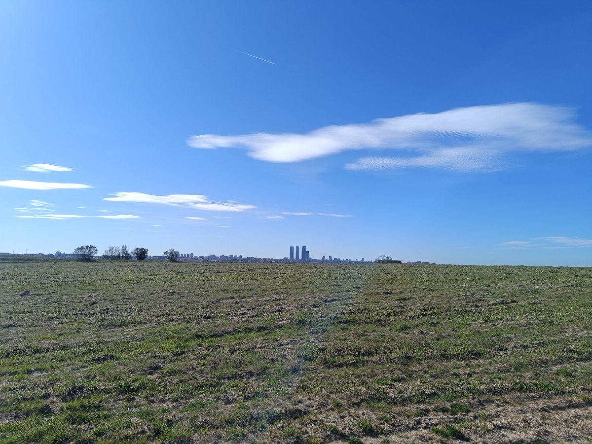 ... Manu ... 守破離 ... tweet media