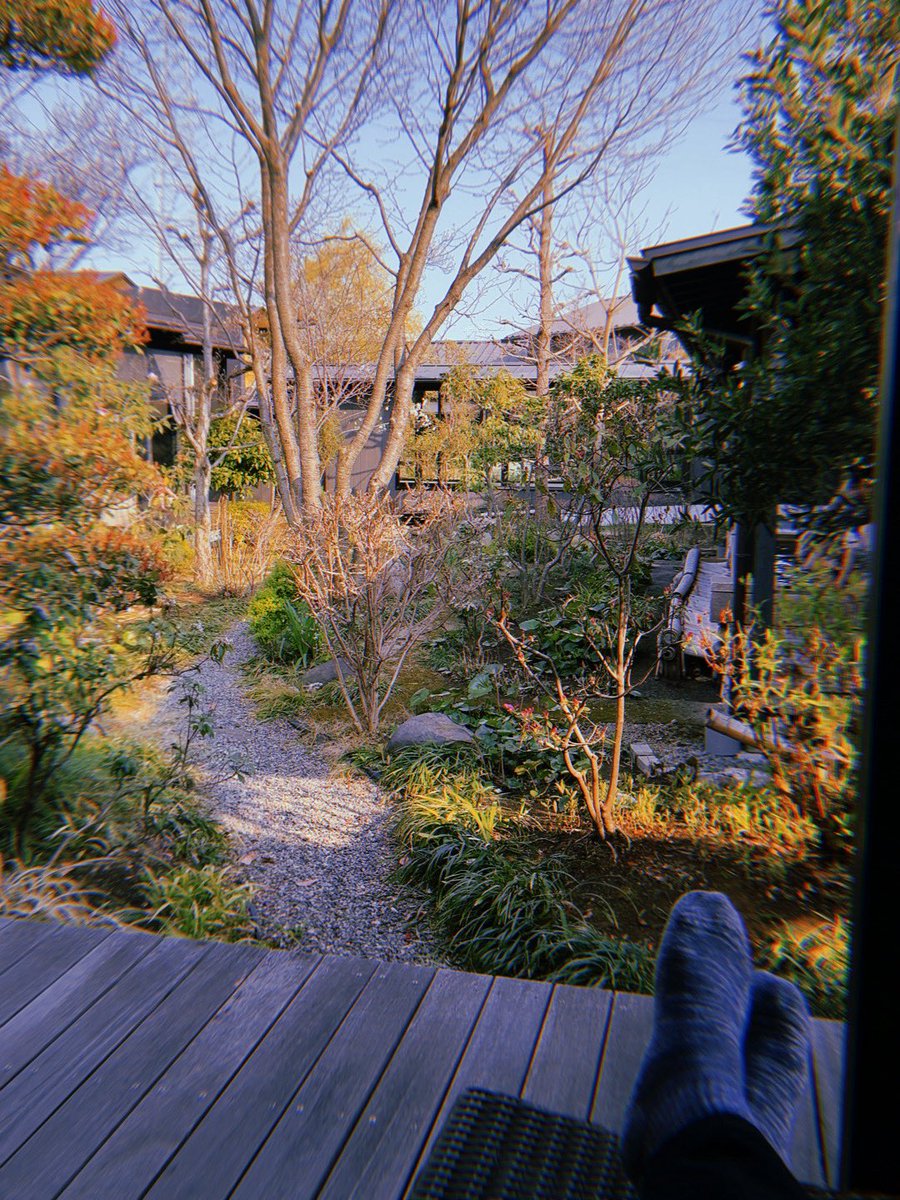 なかむらららら❤️‍🔥(圧倒的蕎麦派) tweet media