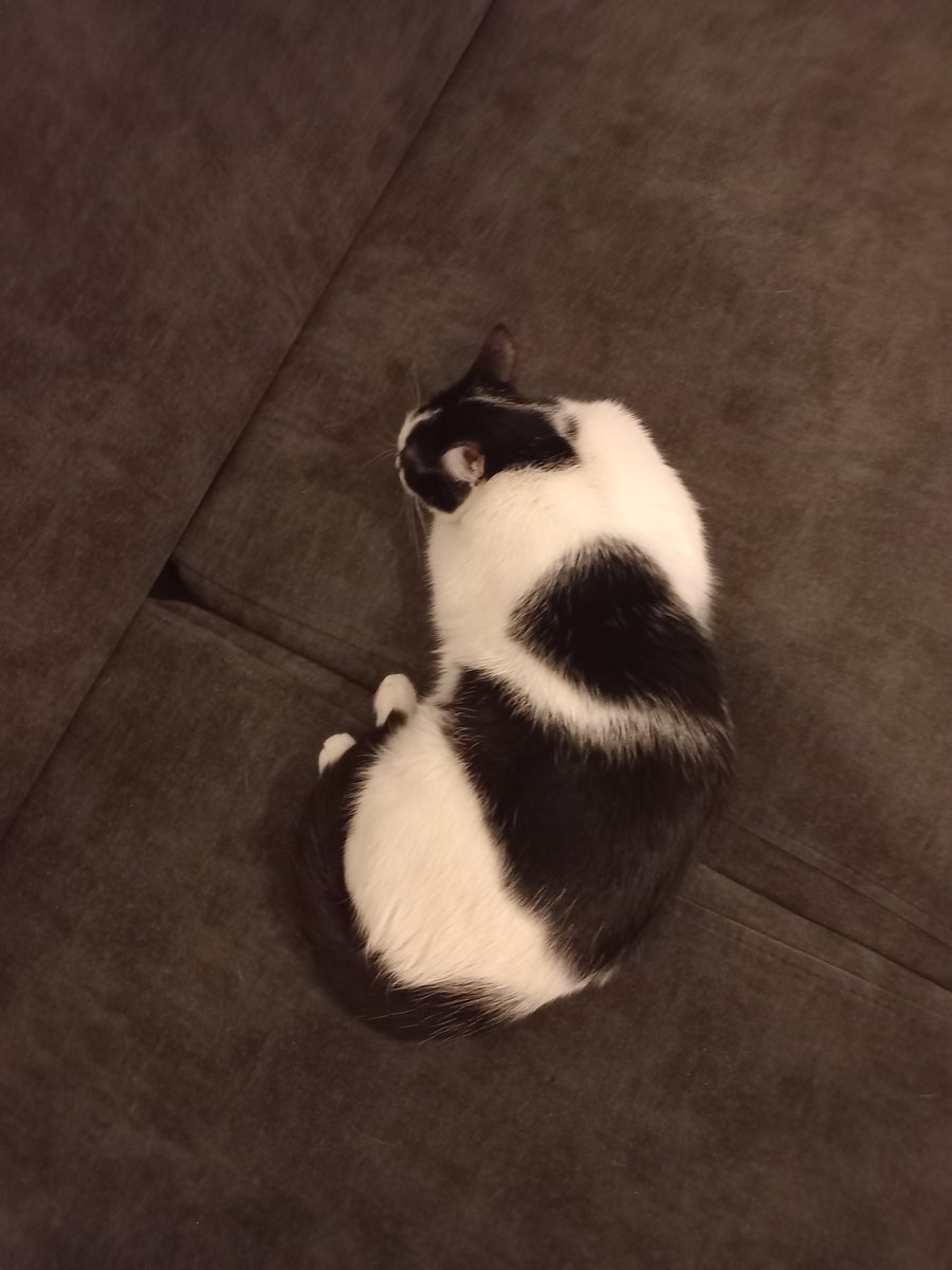 Doğan Durgun tweet media