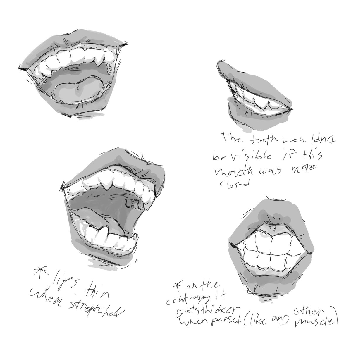 STAG Illust 🪶👑 | EGO RENEGADE BOYMAXXING tweet media