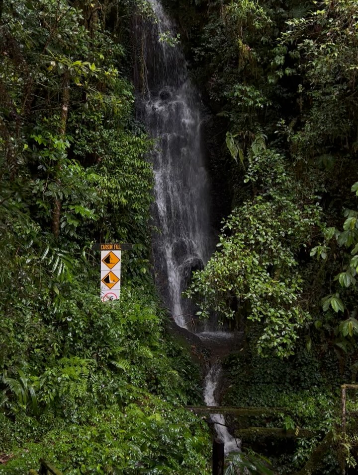 BKI 🍉 tweet media