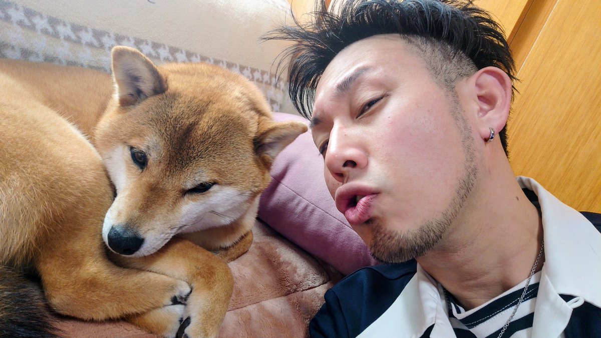 キュアピンフ tweet media