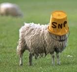 James VI tweet media