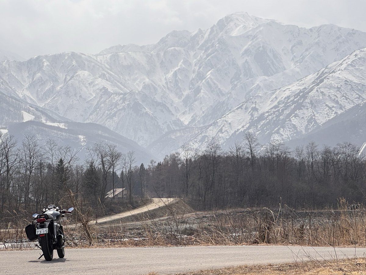 だい／義務ニキ tweet media