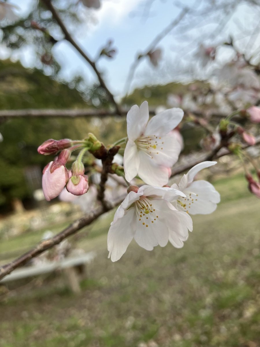 うみべひろた tweet media