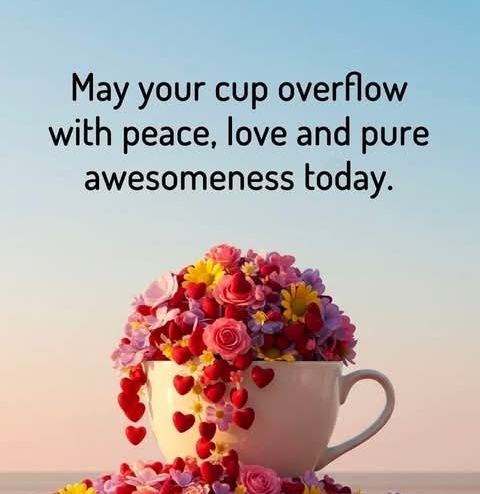 Priscilla ♐⚾🏈🏀🩵🚺 tweet media