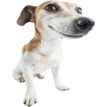 finnegan tweet media