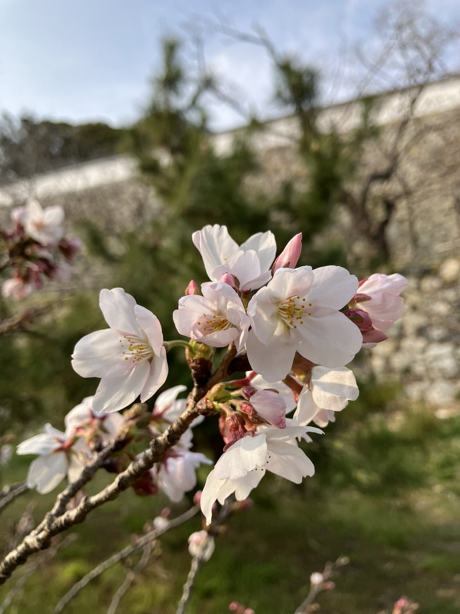 うみべひろた tweet media