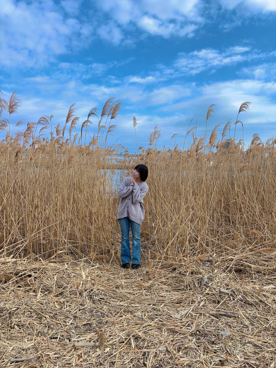 南 世花 tweet media