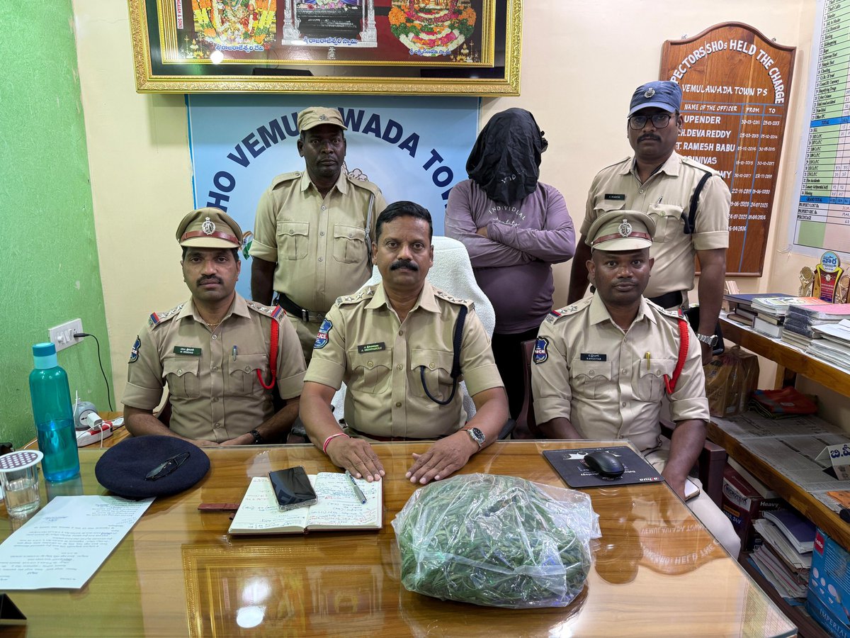 SP SIRCILLA tweet media