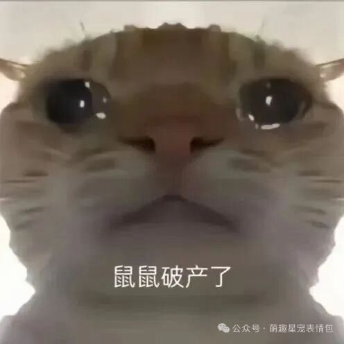 麦小鼠 tweet media