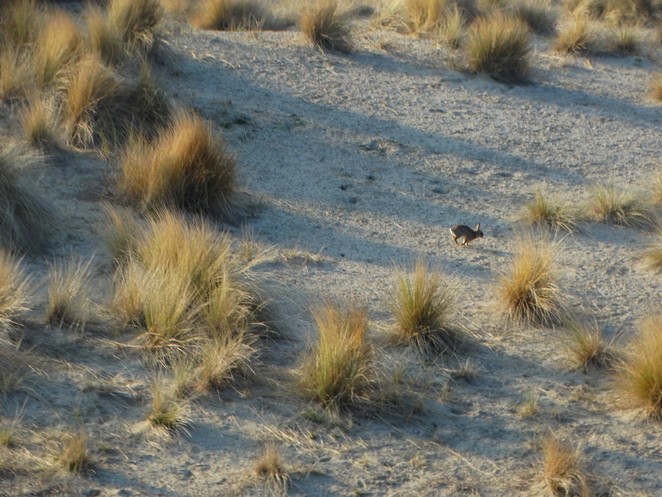 Denise Miltenburg tweet media