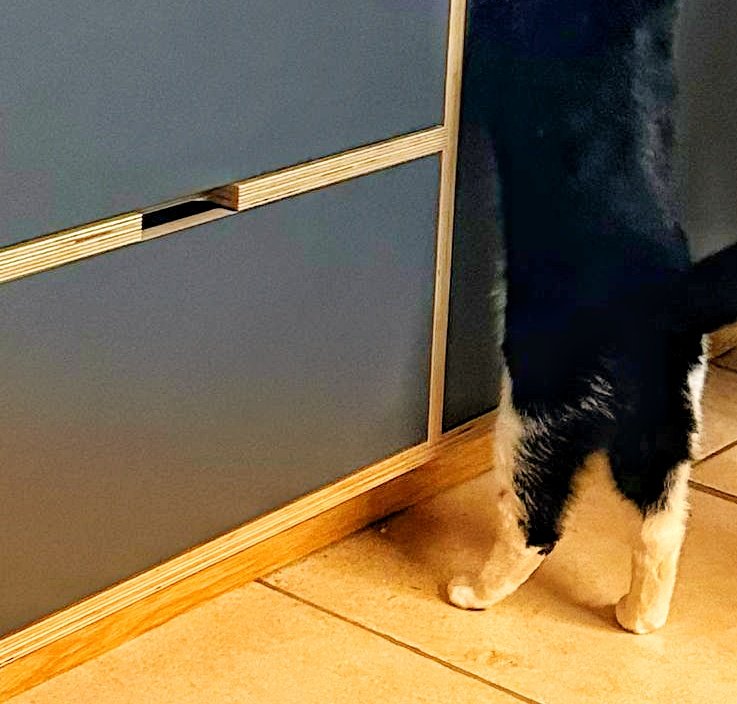 Lucy Worsley tweet media