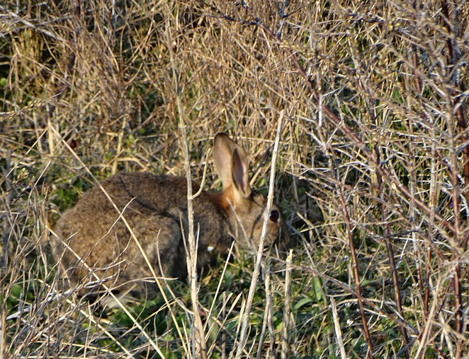 Denise Miltenburg tweet media